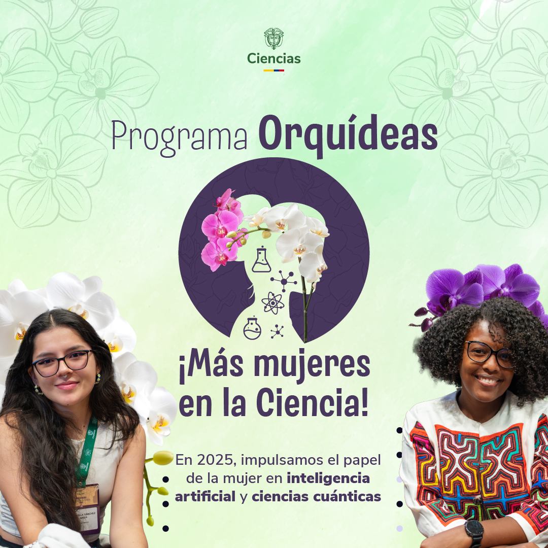 Orquídeas2025