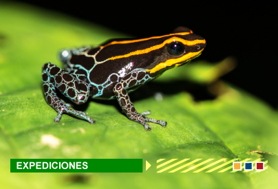 Colombia Bio expediciones