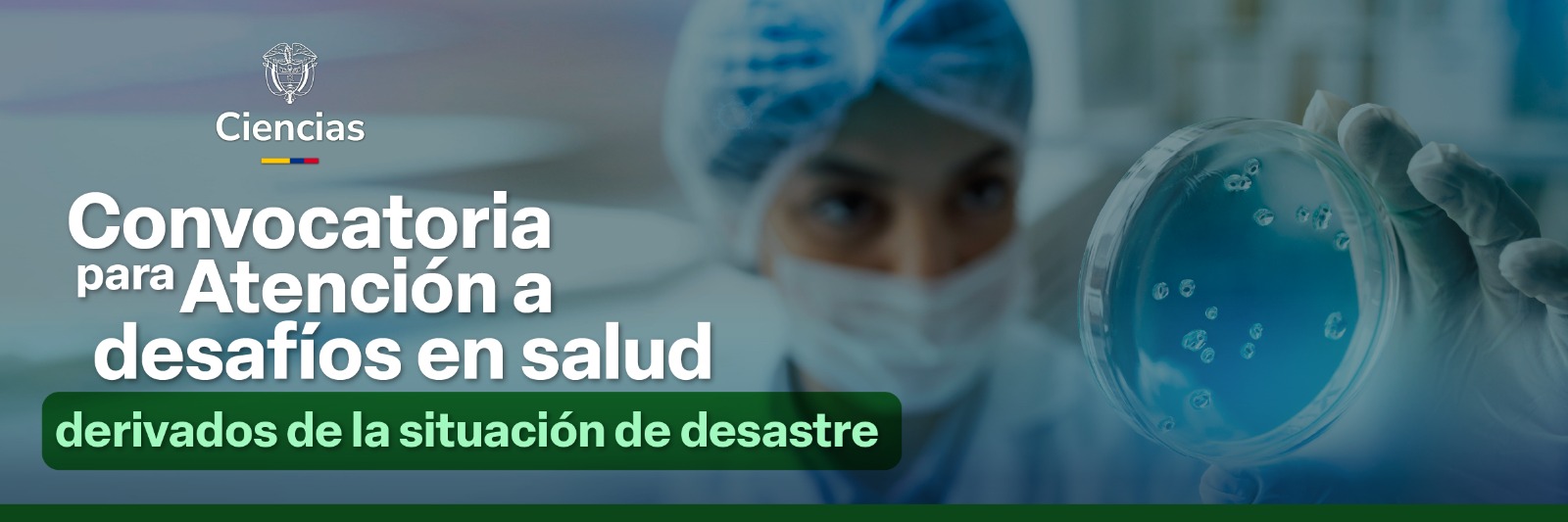 Convocatoria 001 2026