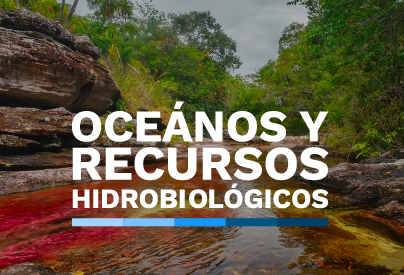 Oceanos y recursos hidrobiológicos