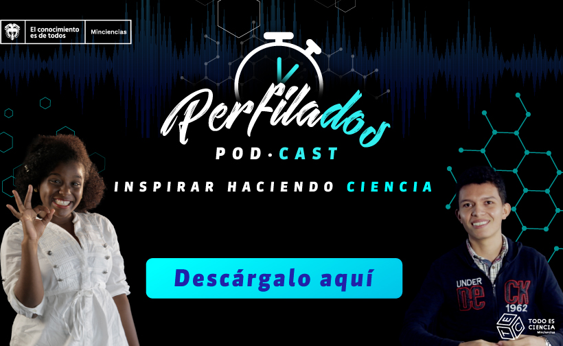 Perfilados
