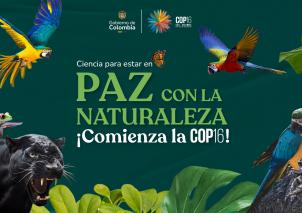 COP 16