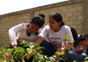 ●	Los beneficiarios fueron seleccionados por el programa Sakura en alianza con la Embajada de Japón, el Icetex, el Ministerio de Educación y el Ministerio de Ciencia, Tecnología e Innovación. 