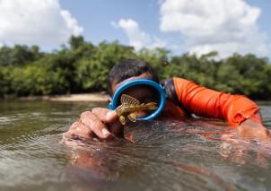 Colombia Bio expedición en Vichada