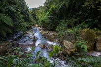Foto: Felipe Villegas. El ecosistema predominante en la zona está compuesto por densas coberturas boscosas, que se conservan porque se encuentran en montañas con marcadas pendientes.