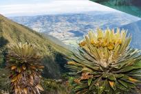 Colombia, el segundo país más biodiverso del mundo