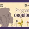 Programa Orquídeas